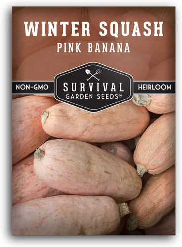 Survival Garden Seeds - Semilla de calabaza de invierno de plátano rosa para plantar - Paquete con instrucciones para plantar y cultivar verduras de