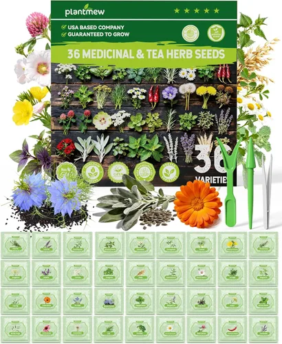 Miniatura 10 de Paquete variado de semillas de hierbas medicinales – 36 semillas de jardín de té de hierbas no transgénicas: manzanilla, lavanda, equinácea