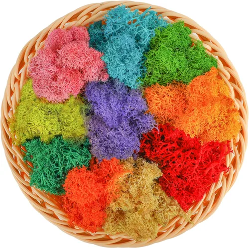 CCINEE Liquen de reno de color mixto de 7 onzas, 10 colores, 0.7 onzas cada líquen preservado de bosque floral seco nórdico para jardines de hadas,