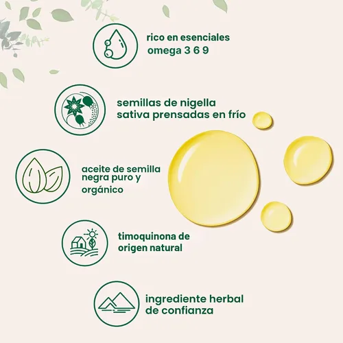 Miniatura 3 de Micro Ingredients Aceite de semilla negra orgánico, 16 onzas líquidas, prensado en frío de semillas de Nigella Sativa, rico en timoquinona y Omega 3