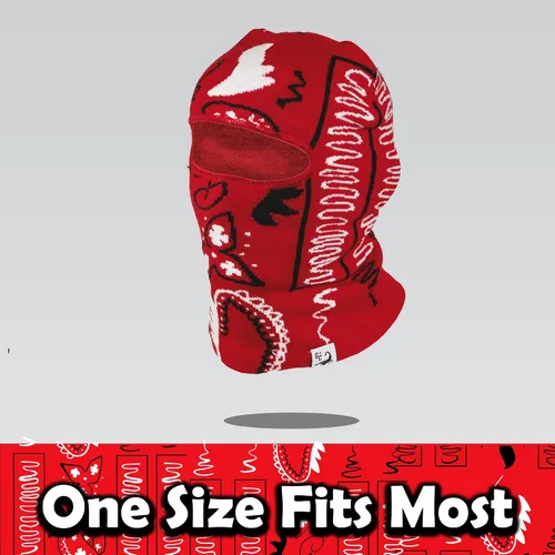 Miniatura 4 de GC Pasamontañas Paisley Bandana Máscara de esquí para hombres y mujeres, máscara facial resistente al viento para ciclismo, motocicleta, correr