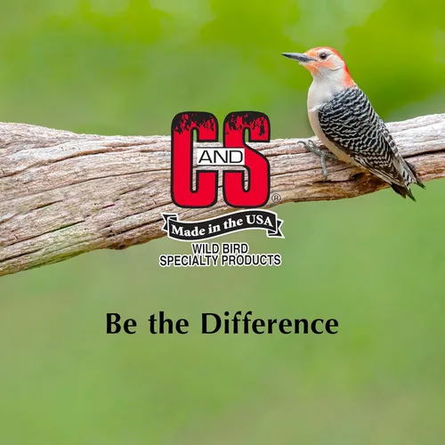 Miniatura 7 de C&S Golosina de Sebo de Alta Energía, Alimento para Aves Silvestres para Pajaros Carpinteros, Trepadores, Carboneros y Agateadores, Paquete de 8
