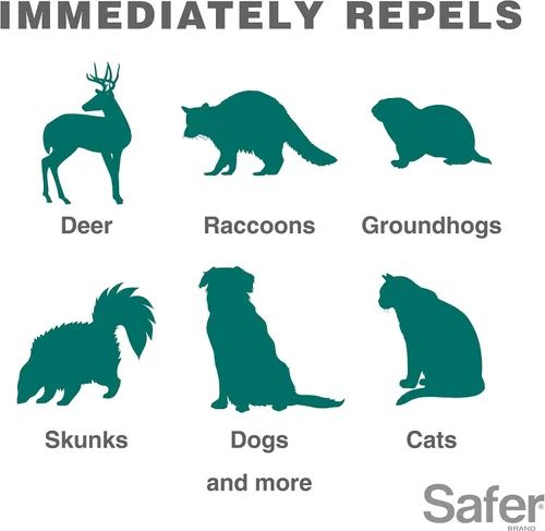 Miniatura 4 de Havahart Critter Ridder Repelente de animales activado por movimiento y aspersor - Uso en el jardín para repeler gatos, perros, ardillas rayadas