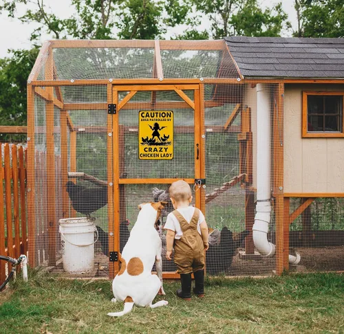 Miniatura 6 de Smilelife Regalos Divertidos de Pollo Precaución Área Patrullada Por Una Loca Señora de los Pollos Letrero de Hojalata para Hogar Granja Gallinero