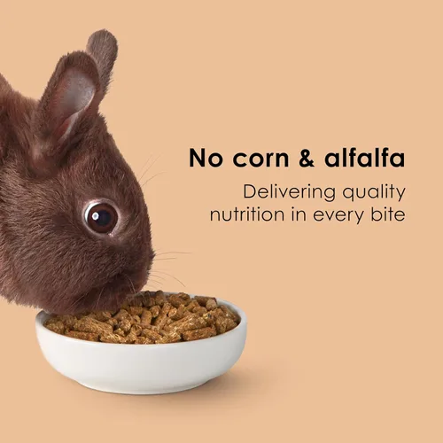 Miniatura 5 de Kaytee Timothy - Alimento completo para conejos, fabricado con heno Timothy, alto en fibra, apoya la salud dental y la digestión, 4.5 libras