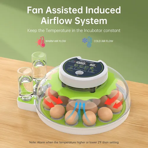 Miniatura 2 de Incubadora de 8 huevos con giro automático de huevos, control de temperatura y humedad, vela de huevos, mini incubadora digital para incubar pollo