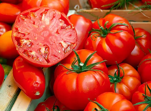 Semillas de tomate Beefsteak para plantar, reliquia, grande y jugosa, uno de los tomates más deliciosos para el cultivo casero, semillas de