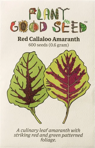 Plant Good Seed Semillas orgánicas de amaranto rojo calaloo para plantar: verde de hoja caribeña, cocina jamaicana - Paquete de 600 semillas