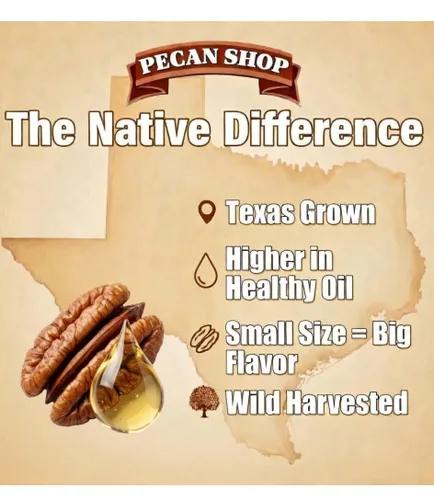 Miniatura 7 de Pecan Shop Mitades de nuez nativa de Texas para aperitivos, cosechadas silvestres, germinadas, ligeramente saladas al mar (2 libras)