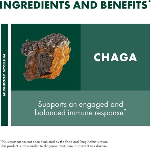 Miniatura 6 de Host Defense Extracto de Chaga - Suplemento de apoyo del sistema inmunológico - Hongo Chaga para apoyo a la actividad antioxidante - Suplemento