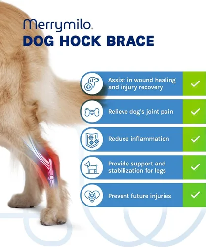 Miniatura 2 de Soporte para pierna de perro, Hock trasero y tobillo Sigle, envoltura de compresión para articulación de pierna trasera canina para desgarro ACL