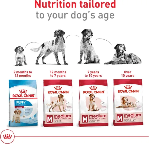 Miniatura 7 de Royal Canin Size Health Nutrition - Alimento seco para perros adultos medianos, bolsa de 4 libras