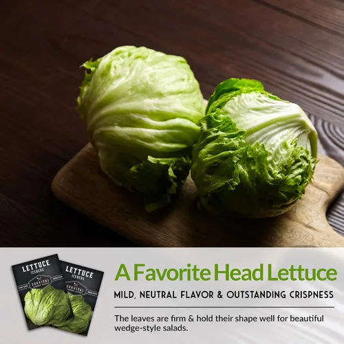 Miniatura 4 de Paquete de 1 semilla de lechuga iceberg para plantar, paquete con instrucciones para cultivar lechuga crujiente en tu huerto casero, variedad