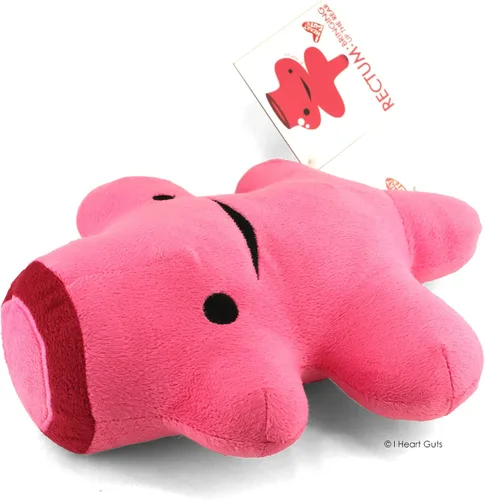 Miniatura 3 de I Heart Guts Rectum Plush – Lindo juguete educativo de órgano para hemorroides y cirugía colorrectal – Divertido regalo de recuperación
