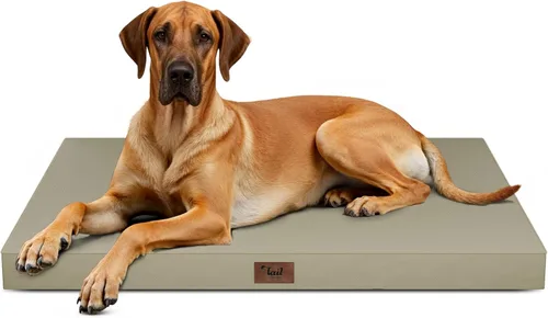 Miniatura 66 de Cama ortopédica de felpa para perros y cachorros medianos, camas impermeables para perros de 30 x 20 pulgadas con funda extraíble lavable, tapete