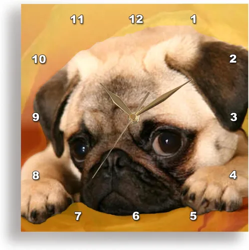 Miniatura 10 de 3drose Reloj de pared Pug, 10 x 10 pulgadas