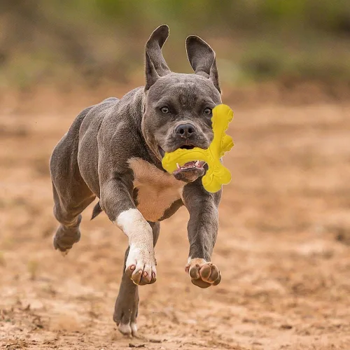 Miniatura 7 de Juguetes masticables para perros de razas grandes que mastican de manera agresiva, juguete de huesos indestructible, juguetes de goma natural