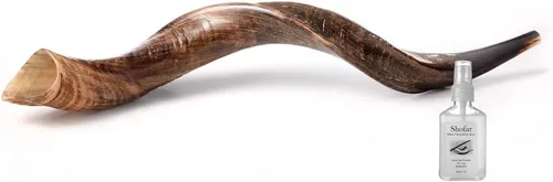 Miniatura 13 de Auténtico shofar de cuerno kudu yemenita – Instrumento bíblico espiritual para adoración judía y cristiana, oración y festivales – Incluye spray
