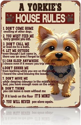 Miniatura 129 de Cartel de metal vintage con texto en inglés "Girl and She Lived Happily Ever After Dog" (Poodle Girl and She Lived Happily Ever After Dog), letrero
