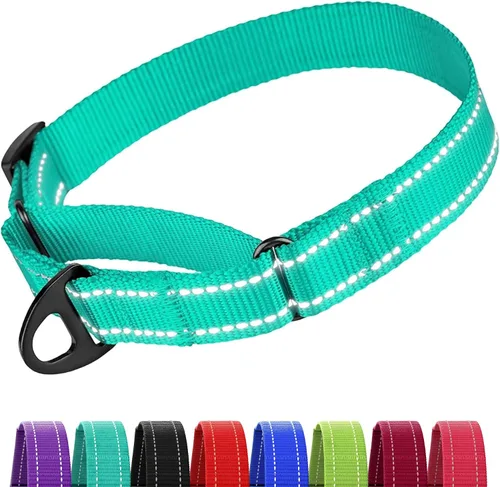 Miniatura 18 de CollarDirect Martingale - Collar de nailon resistente para perros pequeños, medianos y grandes [nailon, estampado, aguamarina, L, 15-20 pulgadas)
