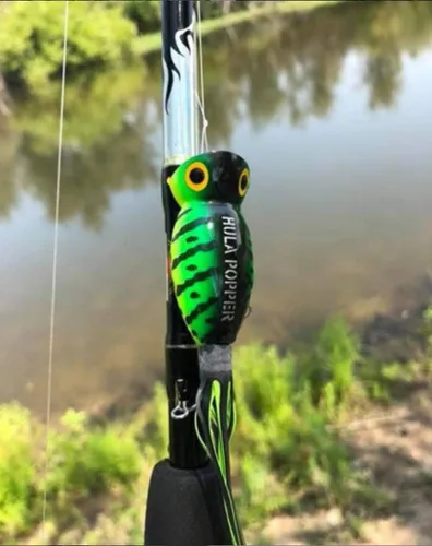Miniatura 3 de Arbogast Hula Popper - Señuelo de pesca para lubina de agua superficial Vientre blanco de rana