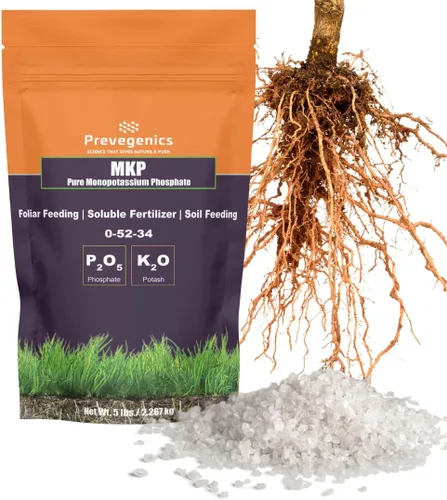 Fertilizante de foshpato monopotásico (MKP) 0-52-34 | Altamente soluble en agua | Apoya el desarrollo fuerte de raíces y la floración | Mejora la