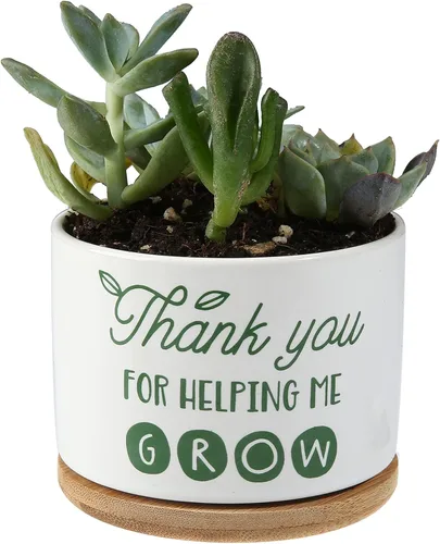 Miniatura 3 de DOMG Regalo de Apreciación para Maestros, Maceta de Cerámica para Suculentas Pequeña Maceta de Flores para Uso en Interior y Exterior, Gracias por
