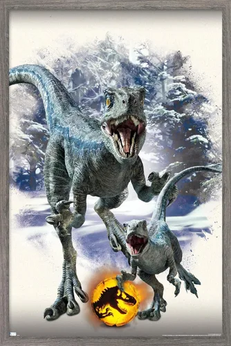 Trends International Jurassic World: Dominion - Póster de pared focal azul y beta, 22.375 x 34 pulgadas, versión enmarcada de madera de granero