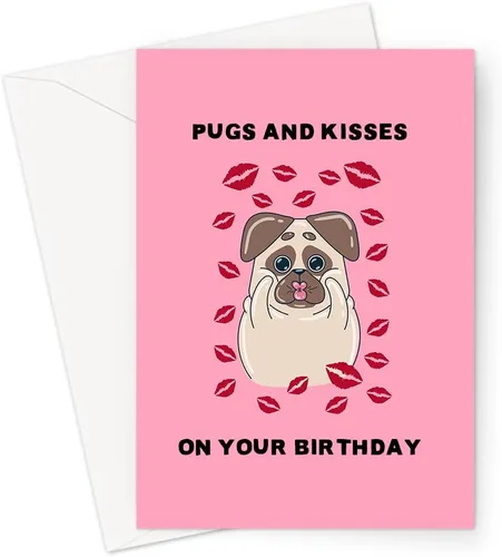 Miniatura 12 de Funny Animal Themed Birthday Cards Quirky Illustrated Animal Themed Birthday Cards For Friends and Family (Let's Get Slothed Birthday Card)