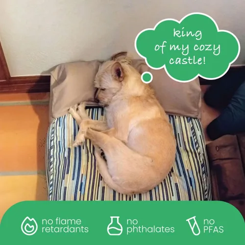 Miniatura 6 de Molly mutt - Cubierta de edredón para cama de perro, 100 % algodón, duradera, lavable, Petite
