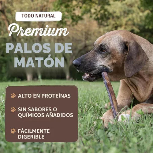 Miniatura 2 de Mighty Paw Palitos de goma de 12" de larga duración para perros - Masticables 100% naturales de carne de res alimentada con pasto. Palitos de goma