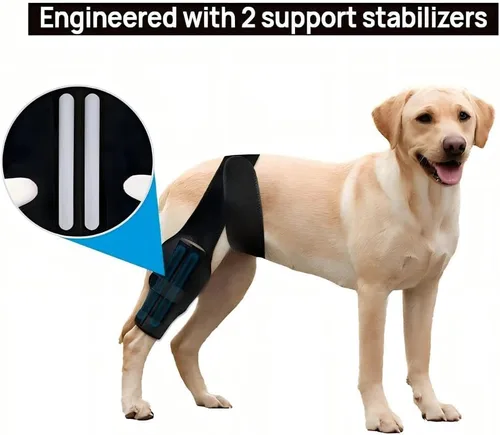 Miniatura 2 de Rodillera de perro para pierna trasera desgarrada del ligamento cruzado anterior, soporte cómodo y ajustable con dos estabilizadores, soporte