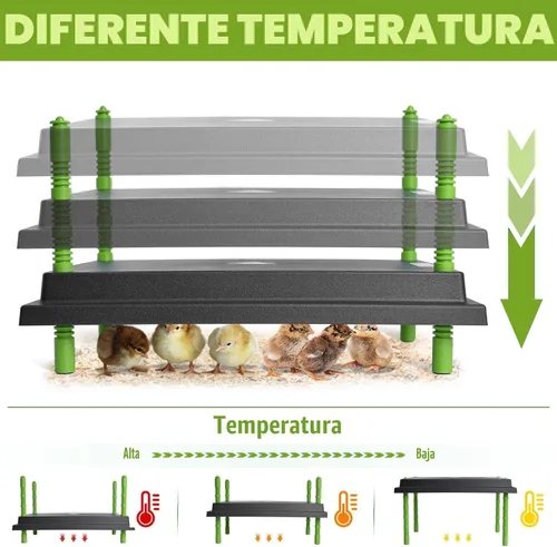 Miniatura 6 de Placa calefactora para pollitos, placa calefactora de 12 x 16 pulgadas para pollitos con pantalla ajustable de altura y temperatura, placa