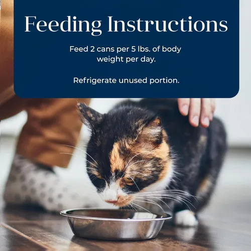Miniatura 10 de Blue Buffalo Basics - Alimento húmedo para gatos adultos sin granos, cuidado de la piel y el estómago, dieta de ingredientes limitados, receta
