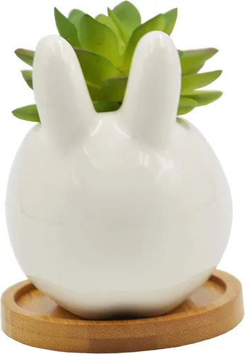 Cuteforyou Macetas para suculentas, bonitas macetas de cerámica con forma de animal de dibujos animados para suculentas cactus flores con bandeja de