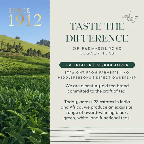 Miniatura 6 de LUXMI Estates - Té verde Sencha japonés - 50g (25 tazas) Té auténtico Sencha japonés de First Leaves Té premium suave, rico y refrescante