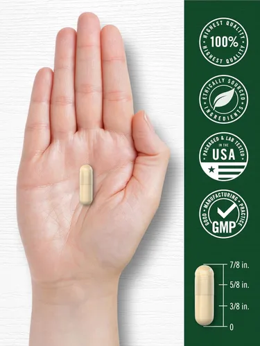 Miniatura 7 de Cápsulas de canela de Ceilán Carlyle 4000 mg 120 unidades Suplemento sin OGM y sin gluten