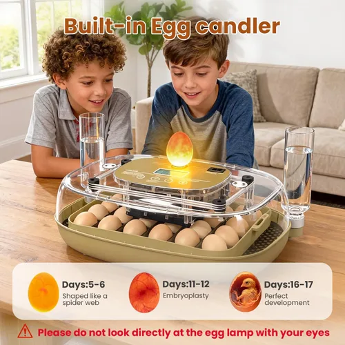 Miniatura 6 de Incubadoras para incubar huevos, capacidad de 24 huevos con giro automático, control preciso de temperatura y humedad, vela de huevo, ventilación