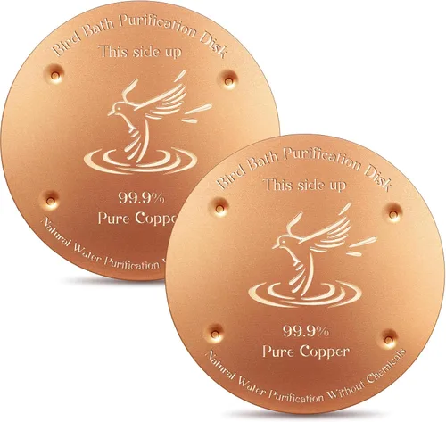 Miniatura 8 de MorningRo 4 discos de cobre para baño de pájaros de 4 pulgadas, 0.024 in de grosor, reforzado con 99.99% de cobre puro, disco de purificación