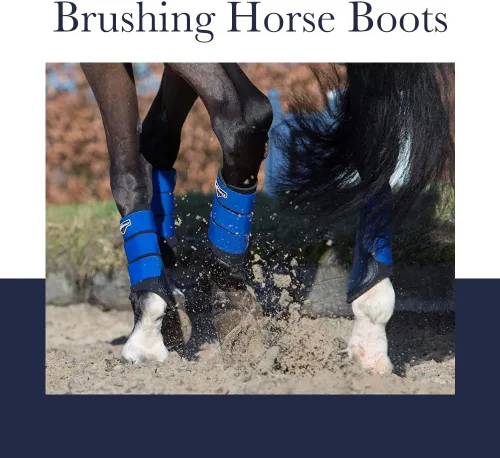 Miniatura 3 de LeMieux Grafter Brushing Horse Boots - Equipo de protección y equipo de entrenamiento - Botas equinas, envolturas y accesorios
