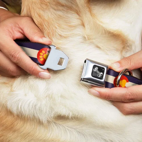 Miniatura 8 de Buckle-Down - Collar de perro con diseño de bandera de Colorado (13.0 – 18.0 in)