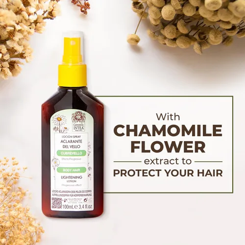 Miniatura 5 de Intea Cubrevello - Loción para aclarar el cabello, spray de botella con extracto de manzanilla natural ecológico, sin parabenos y amoníaco, 3.4 onzas