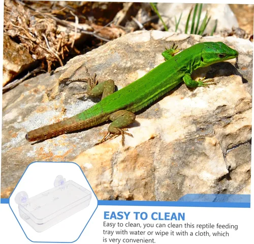 Miniatura 3 de Beavorty Tazón de alimentación de lagarto con ventosa, comedero de reptiles, reptiles, reptiles, reptiles, comedero de gecko, plato de gusano