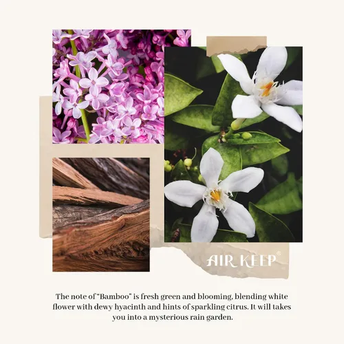 Miniatura 8 de Airkeep Juego de difusor de varillas – 3.38 onzas líquidas (3.4 fl oz), difusor de aroma de bambú para el hogar, incluye 8 varillas difusoras