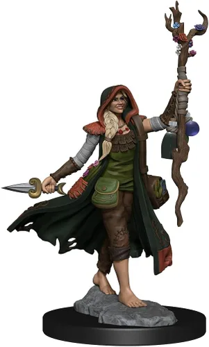 Miniatura 5 de WizKids D&D Frameworks: Mujer druida humana - Sin pintar y sin ensamblar