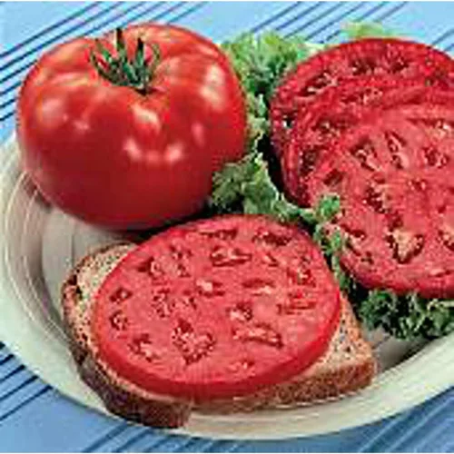 Park's Whopper - Semillas de tomate mejoradas (95 semillas) para plantar, granja, cultivo en jardín, invernadero, verduras, frutas