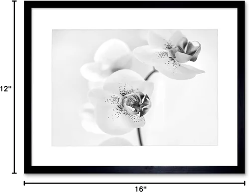 Miniatura 5 de FOTO NATURALEZA PLANTA ORQUIDEA FLOR NEGRO BLANCO MARCO IMPRESIÓN F12X4368
