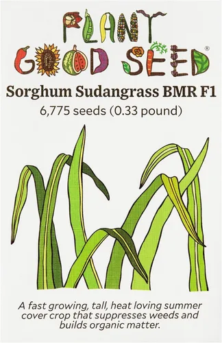 Miniatura 11 de Plant Good Seed Semillas orgánicas de trigo sarraceno, paquete de 125, semillas tradicionales para plantar verduras, granos, brotes, suministros