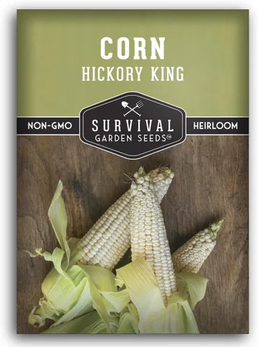 Hickory King Semilla de maíz para plantar, 1 paquete con instrucciones para plantar y cultivar maíz de campo blanco o abolladura en el huerto de tu
