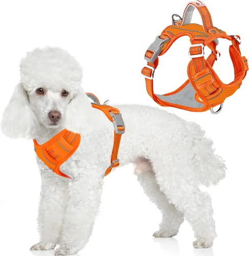 Miniatura 22 de BARKBAY Arnés para perro sin tirones con bolsillo para etiqueta de identificación, resistente, reflectante, fácil control para perros grandes